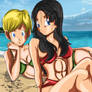 Commission: Erasa x Videl - Beach Frenzy