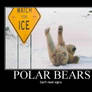 Polar bear motivator