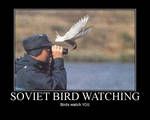 Bird Watching Motivator