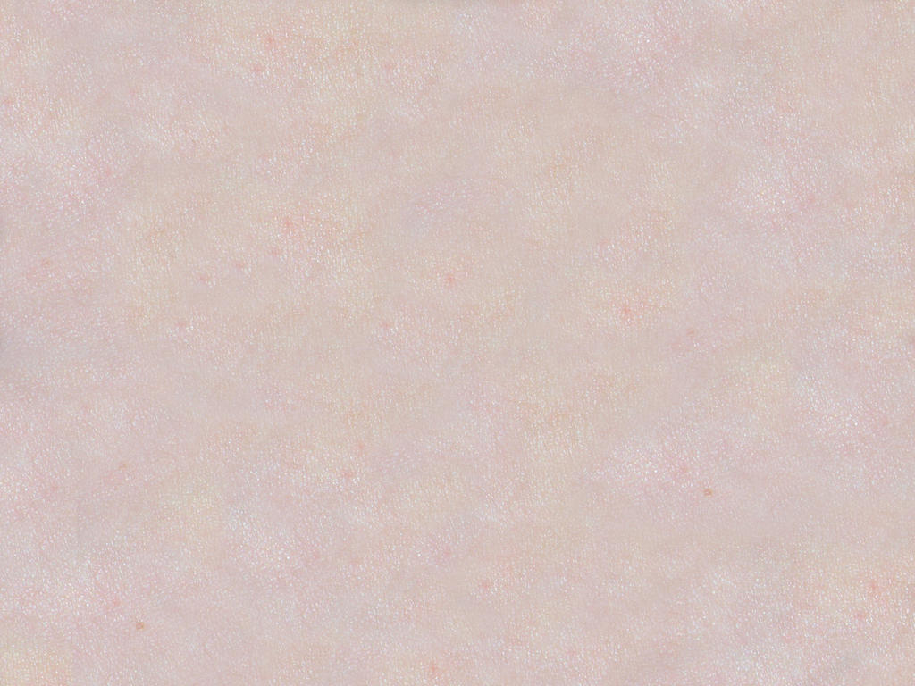 Skin Bitmap Skin Texture Map Creating Face Texture Using Real Images In Photoshop