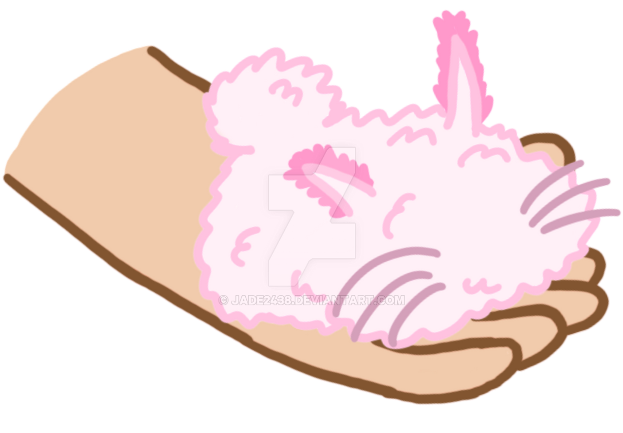 Sea bunny by Jade2438 on DeviantArt