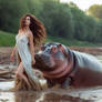 Beautiful Hippos 12