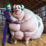 Joker and his Harley piggy 1