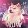 WOW DOGESTEP