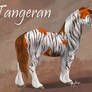 Tangeran and Therinae breed