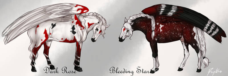 Bleeding Star n' Dark Rose