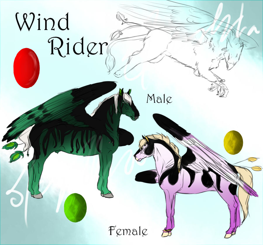 Wind Rider Beast WindRider Breedsheet by Meykka on DeviantArt