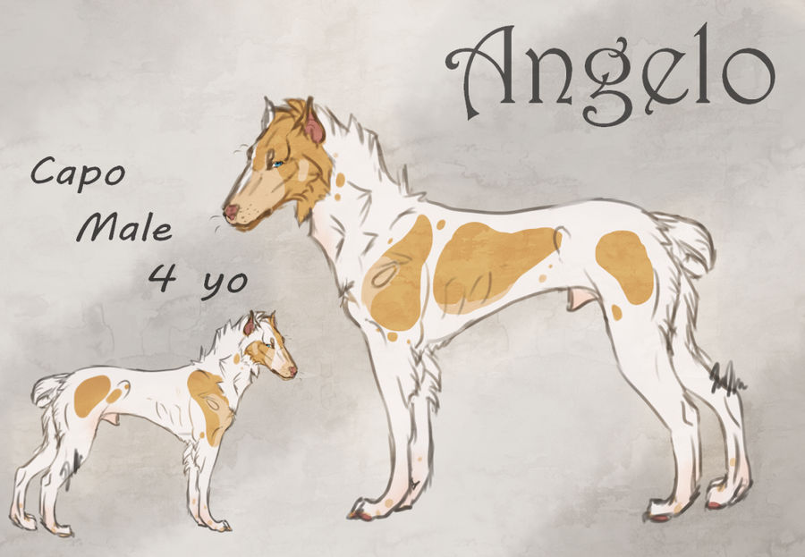 Angelo by Meykka on DeviantArt