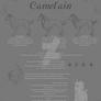 Camelain Colour Sheet 2
