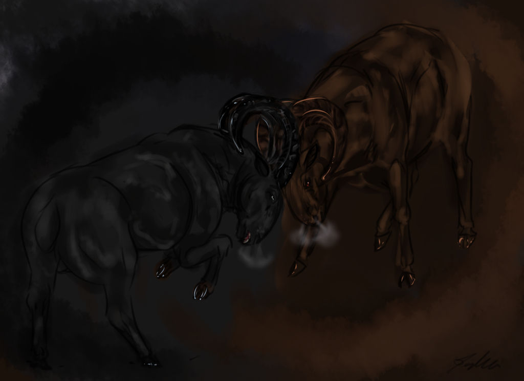 Ram fight by Meykka on DeviantArt
