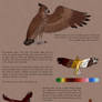 Barbarian Eagle Breedsheet