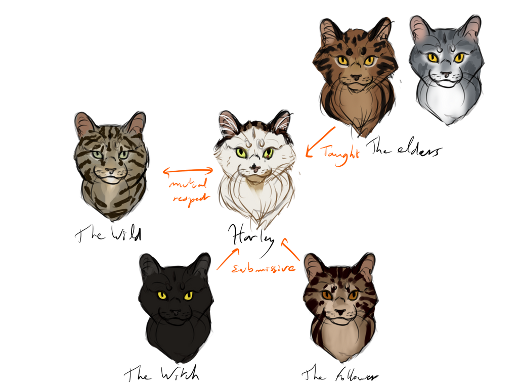 My garden cat hierarchy by Meykka on DeviantArt