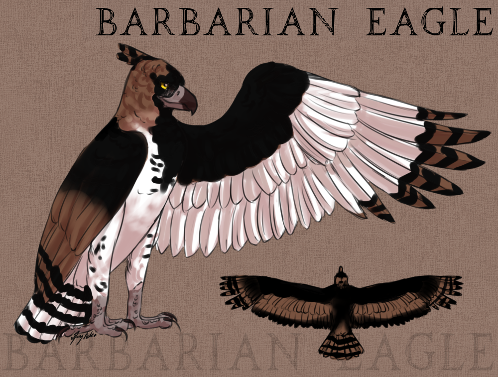 Barbarian Eagle Import 09