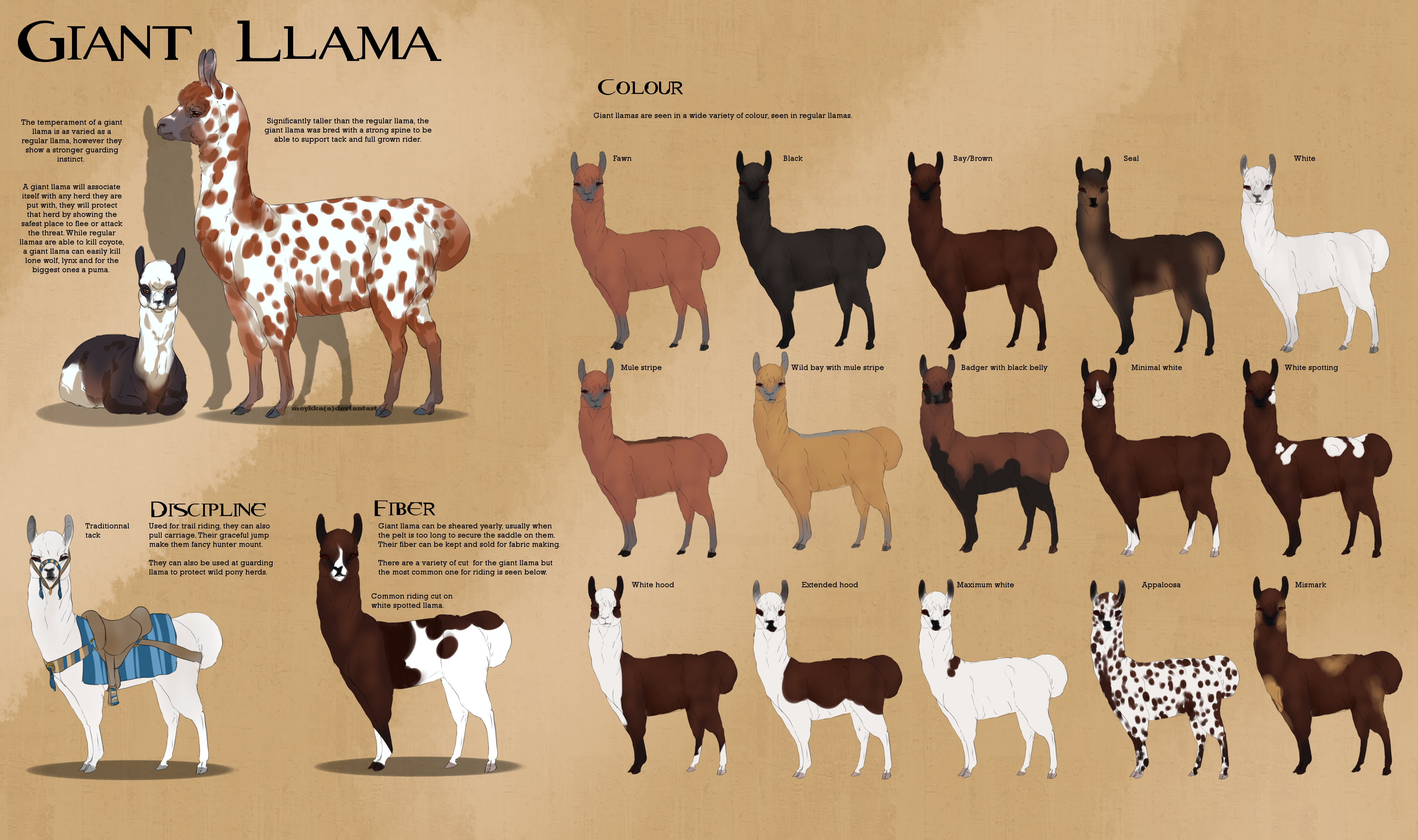 Lama Types Giant llama breedsheet by Meykka on DeviantArt