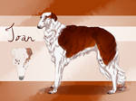 Ivan the Borzoi by Meykka