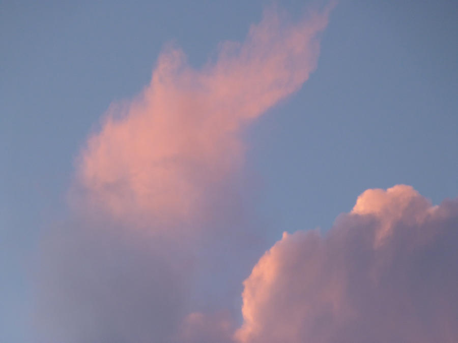 pink clouds