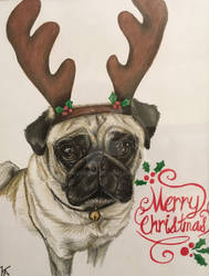 Pug Christmas