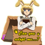 Usagi!Armin in a box