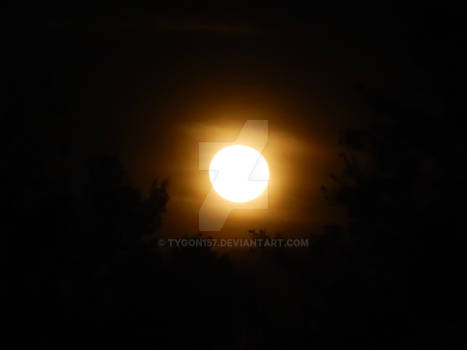 La Luna que no queria ser luna