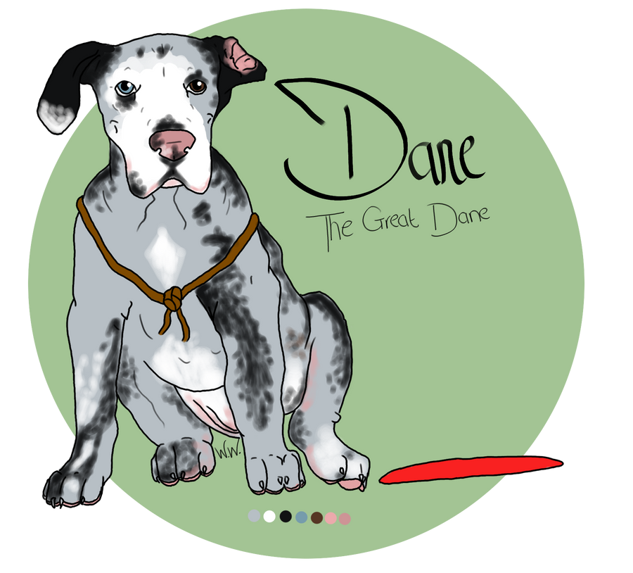 Dane Character Dane's Character Sheet by Piper-Maya on DeviantArt