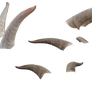 Free Goat Horns PNG cutout