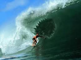 Wave Shark