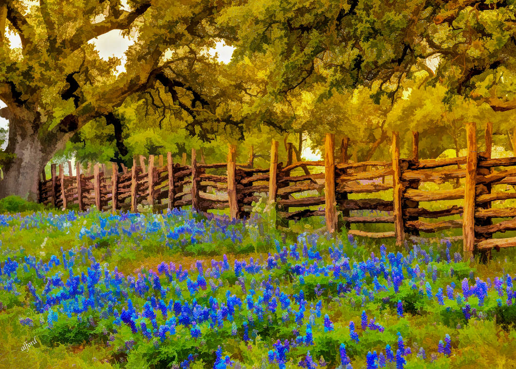 Springtime Texas Springtime in the Texas Hill Country57 by labba1 on DeviantArt