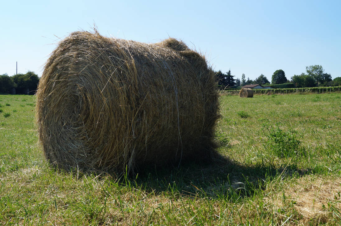 Haystack by crayonquipense on DeviantArt