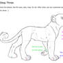 Feline Anatomy Tutorial Part 3