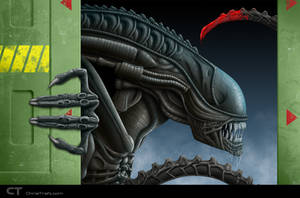 The Xenomorph by chris-illustrator The Xenomorph by chris-illustrator