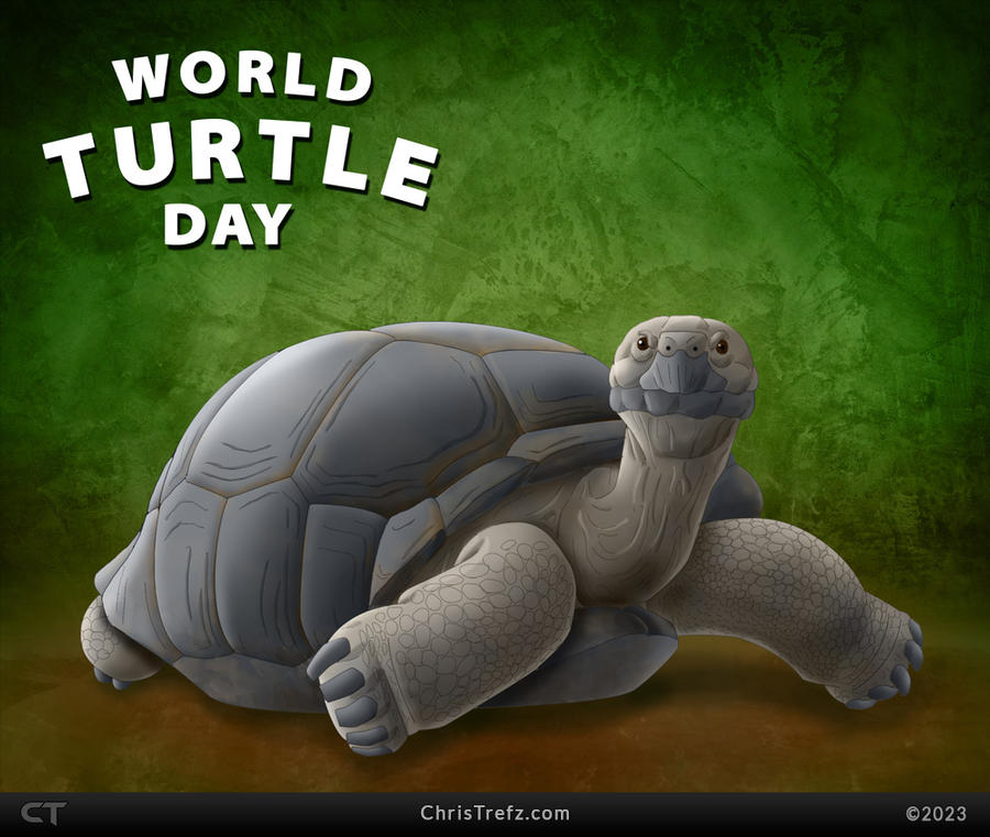 World Turtle Day 2023 by chrisillustrator on DeviantArt