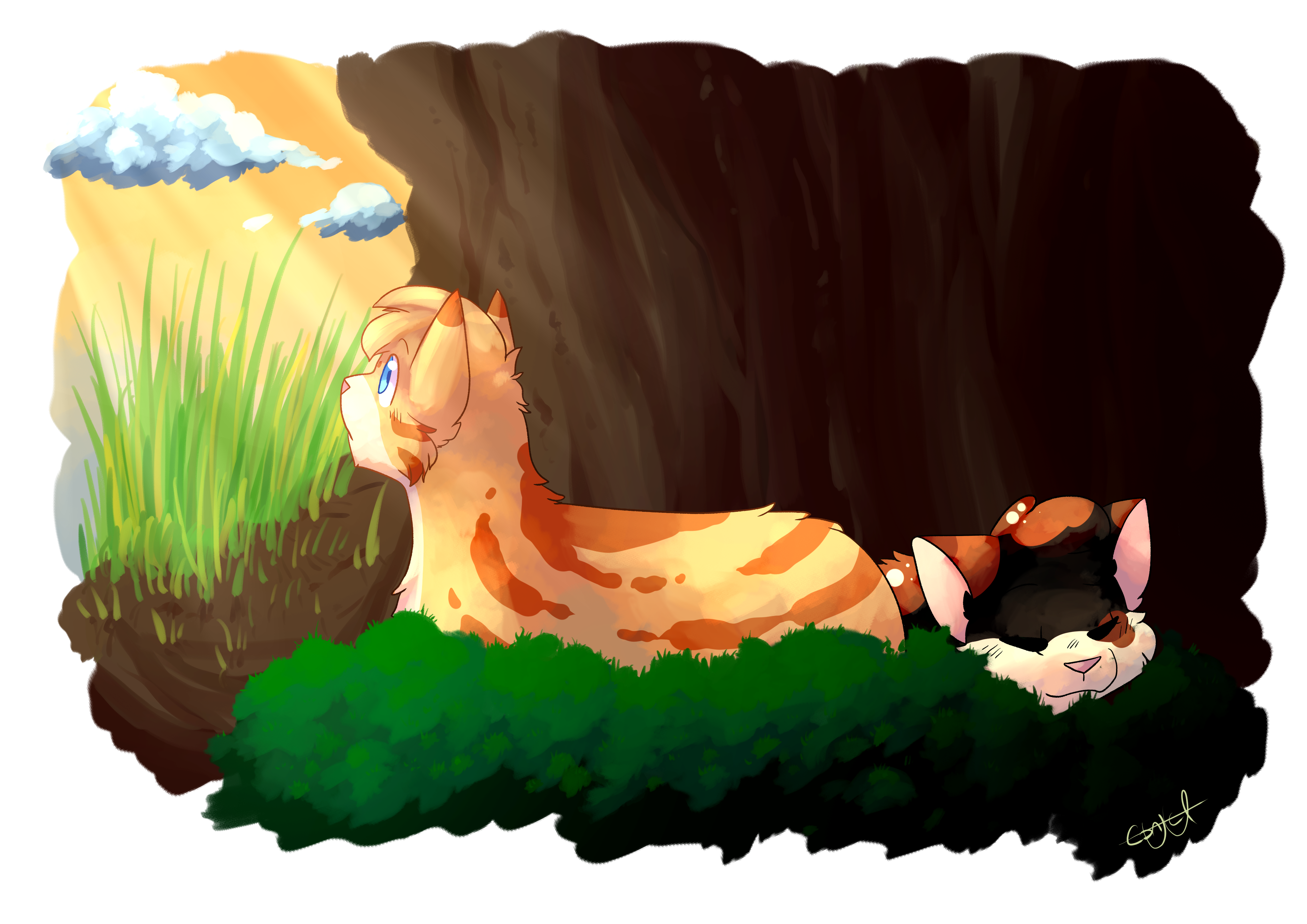 In the den