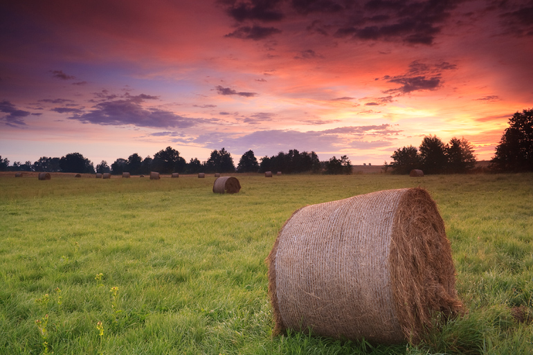 Bales