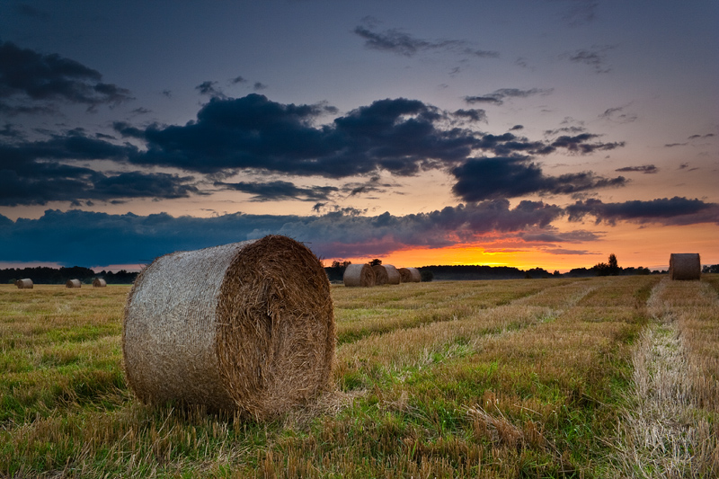 Polish Landscape III