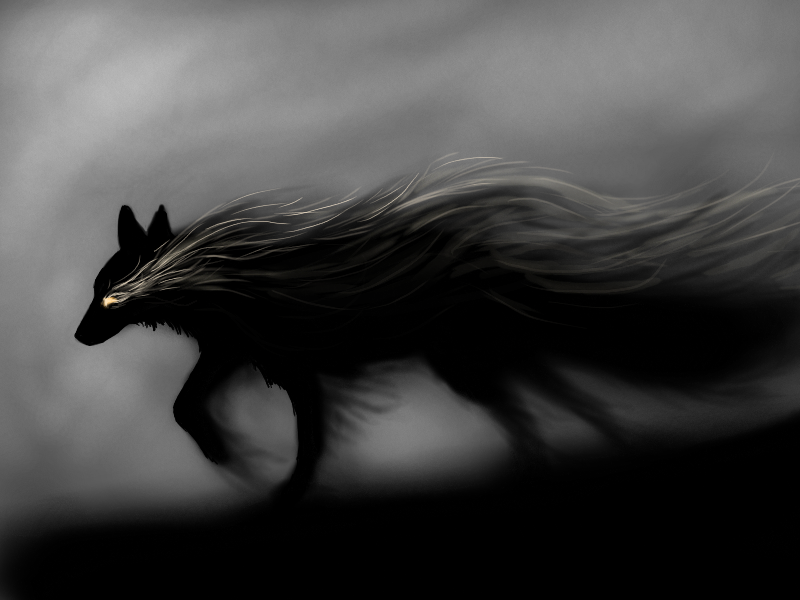 Fox in Shadow by 0-Stargazer-0 on DeviantArt