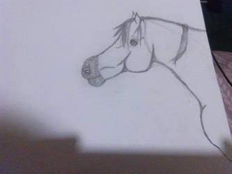 Drawn Arabian