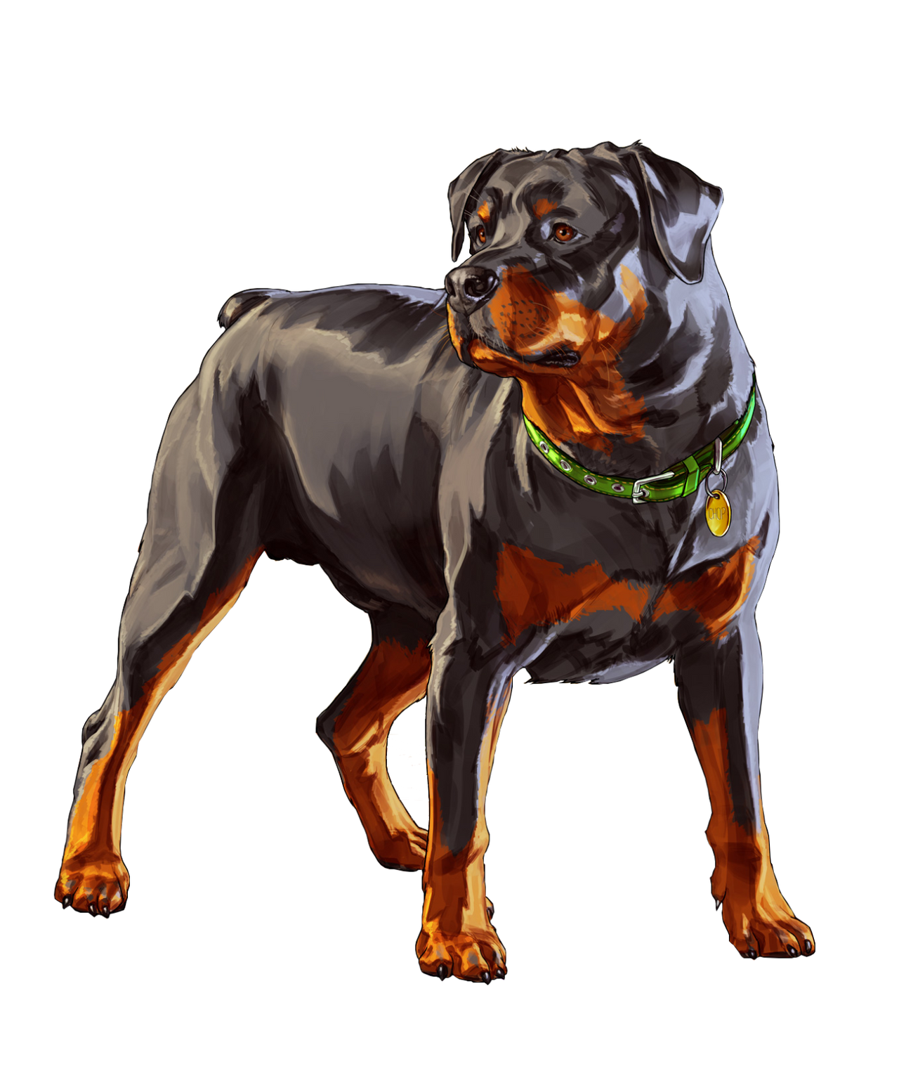 GTA V / GTA 5 - Chop (2) / Dog - PNG Vector by baldknuckle on