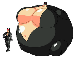 Catwoman Blimp Sprite By Masterd987