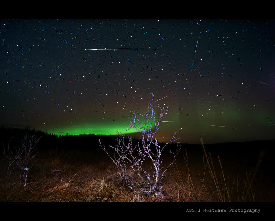 Aurora meets the Leonids