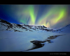 Aurora in Dirty Valley