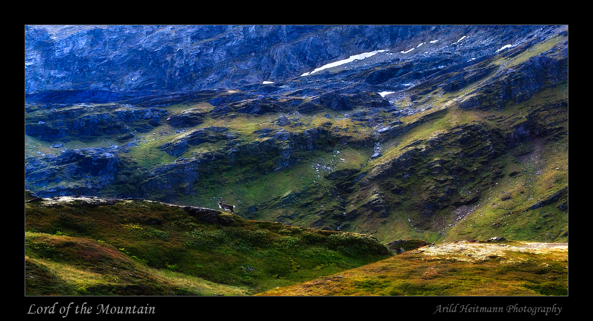 Lord of the Mountain