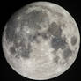 Lunar Lounge: Groovin' Under the Moonbeams!