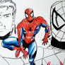 The Spectacular Spider-Man~