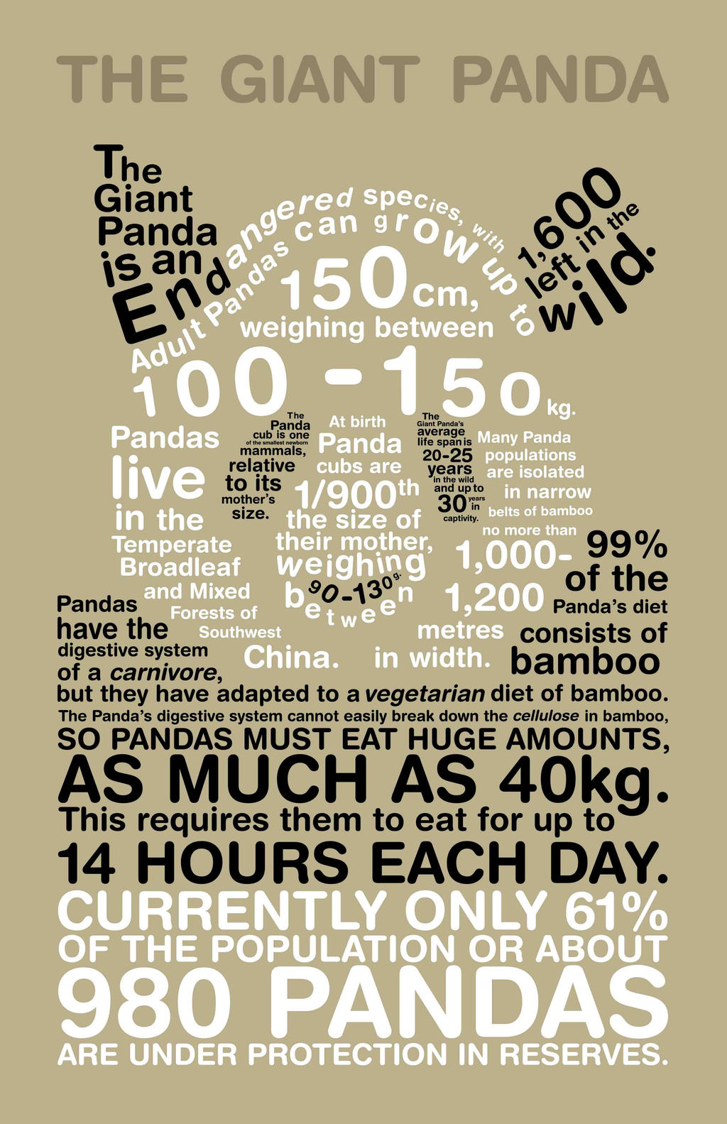 Panda Infographic