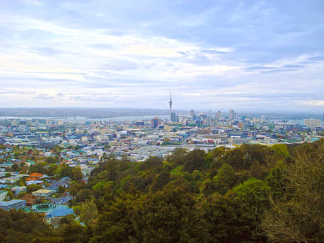 Auckland in Colour