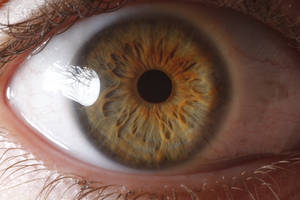 My Eye.unedited.