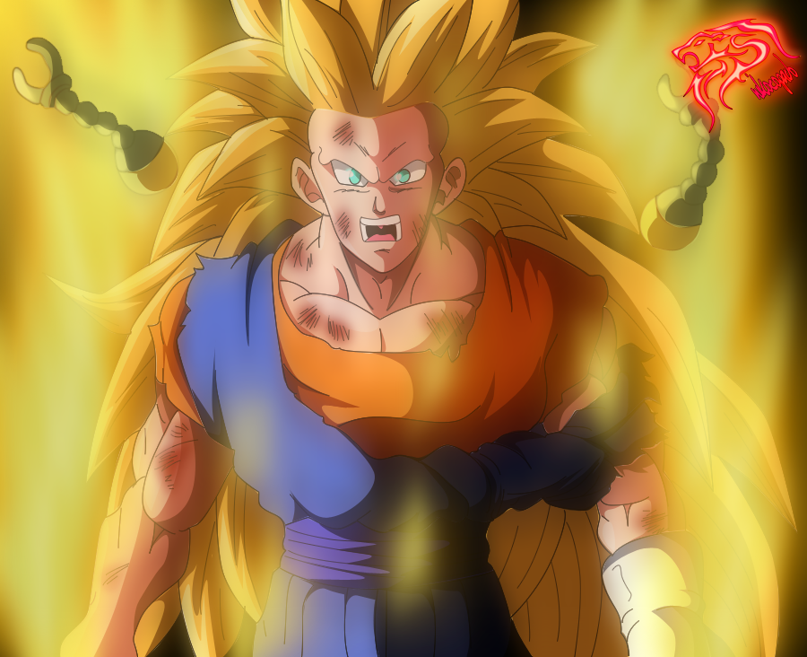 Vegetto Ssj3 -Color