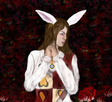 The White Rabbit