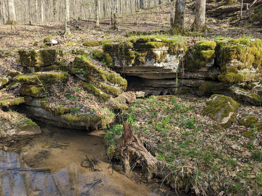 Cave Spring at Mousetail by CoffeeWorksArtistry on DeviantArt