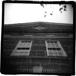 Holga 4